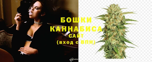 ГАЛЛЮЦИНОГЕННЫЕ ГРИБЫ Рославль