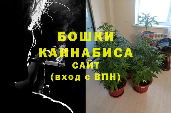 ГАЛЛЮЦИНОГЕННЫЕ ГРИБЫ Рославль