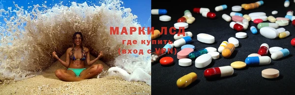 ГАЛЛЮЦИНОГЕННЫЕ ГРИБЫ Рославль